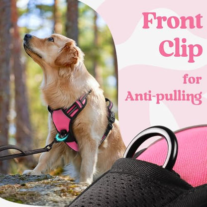 rabbitgoo Dog Harness Small Sized, No Pull Easy On & Off with 3 Buckles Pet Harness, Adjustable Soft Walking Vest with 2 Clips and Handle, Reflective for Small Dogs, Rose Pink, S - color: Rose Pink, size: Small