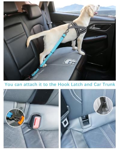 AUBELL Dog Seat Belt for Car,Updated 3-in-1 Adjustable Reflective Bungee Heavy Duty Dog Car Harness Tether with Clip Hook Latch & Buckle,Swivel Zinc Alloy Carabiner,Blue - color: Blue
