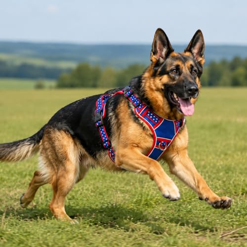 Extra Large Dog Harness, Heavy Duty Patriotic Pet Vest for German Shepherd, Golden Retriever, No Pull XL Puppy Chest Harness with Neck Buckles & Handle, Tactical Doggie Walking Gear (X-Large) - size: X-Large