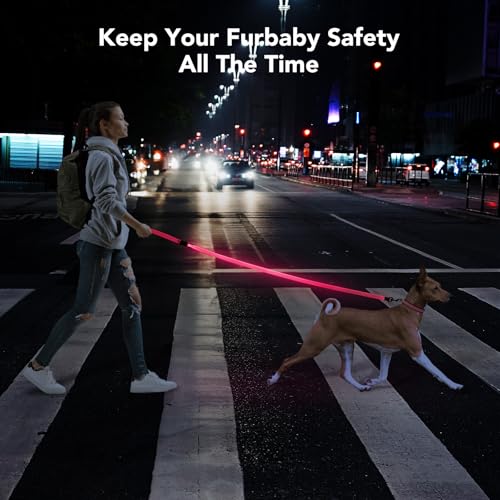 Colaseeme LED Light Up Dog Leash, USB Rechargeable (4FT,Pink) | Glow in dark, reflective, USB-C rechargeable, bright LED for night safety, fits small to large dogs - color: Pink, size: 4FT