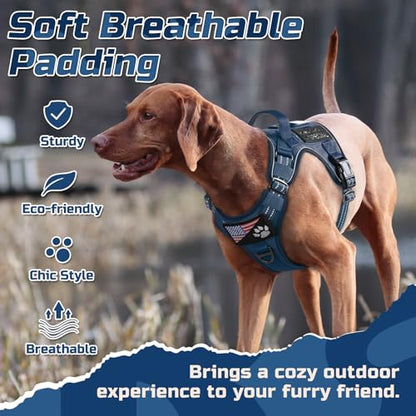 rabbitgoo Dog Harness No Pull, Military Dog Harness Medium Sized Dog with Handle & Molle, Easy Control Service Dog Vest Harness Training Walking, Adjustable Reflective Tactical Pet Harness, Blue, M - color: Blue, size: Medium