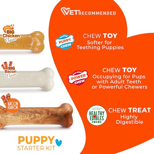 Nylabone New Puppy Starter Kit, 2 Chew Toys and 1 Natural Treat for Puppies, Puppy Teething Toy, Bacon & Chicken Flavor, Small Dogs - Up to 25 lbs., 3 Pack - size: Small