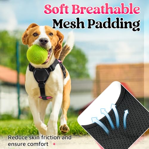 rabbitgoo Escape Proof Dog Harness, Soft Padded Full Body Pet Harness, Reflective Adjustable No Pull Vest with Lift Handle and Leash Clip for Large Dogs Walking Hiking Training, S, Pink - color: Pink, size: Small (Pack of 1)