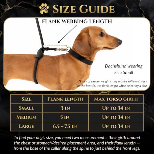 Hands-Free No-Pull Dog Leash | Durable Adjustable Training Lead for Dogs | Calm Command Outdoor Activity Leash for Active Pet Lifestyle Breeds | Ergonomic Handle - Large (60+ lbs) - size: Large