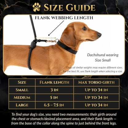 Hands-Free No-Pull Dog Leash | Durable Adjustable Training Lead for Dogs | Calm Command Outdoor Activity Leash for Active Pet Lifestyle Breeds | Ergonomic Handle - Medium (25-60 lbs) - size: Medium (25-60lbs)