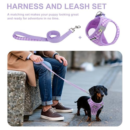 AIITLE Small Dog Harness with Leash – Soft Breathable Mesh, Plaid Pattern & Reflective Strips – Ideal for Training, Running & Party Outings (S, Purple) - color: Purple, size: S