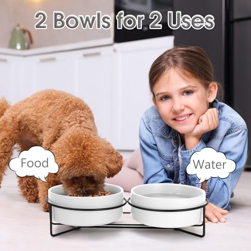 Ceramic Dog and Cat Bowl Set with Stand, 1.7 Cups Dog Food and Water Bowl Suitable for Small and Medium Pets (13.5oz White) - color: White, size: 13.5oz