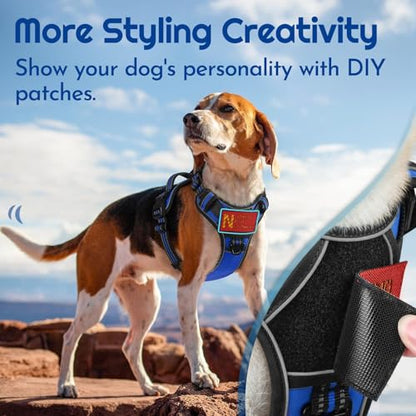 Eagloo Dog Harness Small Sized, Easy Wearing with 3 Buckles, Adjustable No Pull Pet Harness with 2 Rings for Walking, No Chock Reflective Soft Padded Vest with Control Handle, Blue & Black, S - color: Blue & Black, size: Small