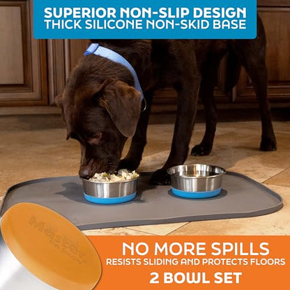 Master Pet Supply Stainless Steel Dog Bowls Set of 2 with Extra Thick Silicone Base - 4 Cup (32 oz) Mango Tango, Non-Slip, Dishwasher Safe Metal Bowls, Pet Dog Food Bowl for Dogs, Cats, Anti Rust - color: Mango Tango, size: 4 Cups (32 oz) 2 Pack