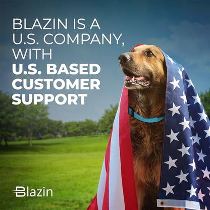 BLAZIN Reflective Dog Collar - Vibrant Color for Day and Night - Soft Neoprene Padded Collar - Adjustable Sizing -'Color Me Happy!' Dog Collars - Brighter Means Safer - (Small, Orange)