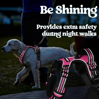 rabbitgoo Dog Harness Small Sized, No Pull Easy On & Off with 3 Buckles Pet Harness, Adjustable Soft Walking Vest with 2 Clips and Handle, Reflective for Small Dogs, Rose Pink, S - color: Rose Pink, size: Small