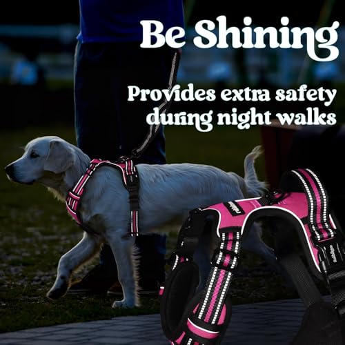 rabbitgoo Dog Harness Small Sized, No Pull Easy On & Off with 3 Buckles Pet Harness, Adjustable Soft Walking Vest with 2 Clips and Handle, Reflective for Small Dogs, Rose Pink, S - color: Rose Pink, size: Small