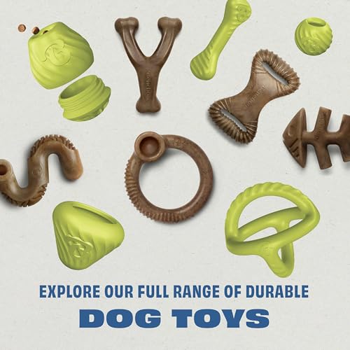 Benebone Natural Rubber Dog Chew Toy, Dog Bone, USA 250th Anniversary Limited Edition America 250, Medium - size: 1 Pack, style: America 250 - Bone