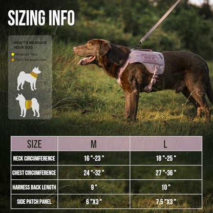 OneTigris Sentinel Pink Service Dog Vest with Patches, Reflective Lightweight Dog Harness for Medium Large Dogs (Pink, M: Neck 16-23", Chest 24-32") - color: Pink, size: M: Neck 16-23", Chest 24-32"