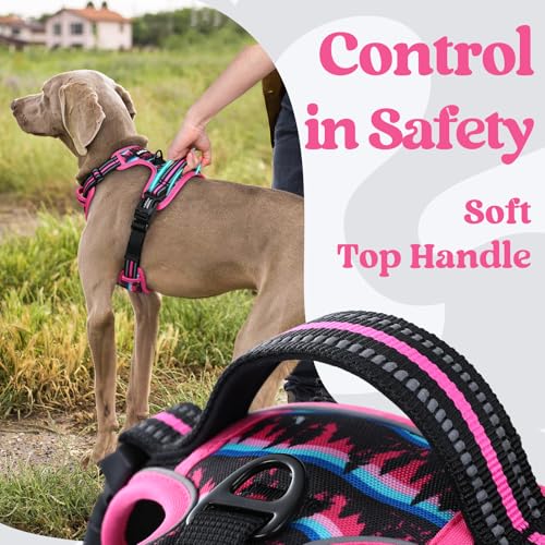 rabbitgoo Dog Harness Small Sized, No Pull Easy On & Off with 3 Buckles Pet Harness, Adjustable Soft Walking Vest with 2 Clips and Handle, Reflective for Small Dogs, Mountain Rose, S - color: Mountain Rose, size: Small