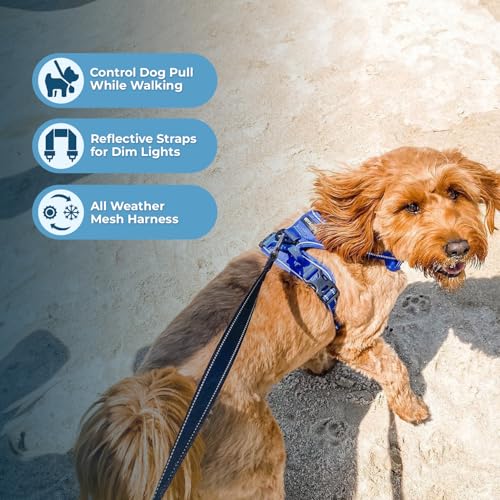 Voyager Dog Harness Dual Leash Attachment No-Pull Control Adjustable Soft but Strong Pet Harness for Medium and Large Dogs with 3M Reflective Technology, Royal Blue Lattice Nylon, S (Chest: 16-20") - color: Royal Blue Lattice Nylon, size: S (Chest: 16 - 2