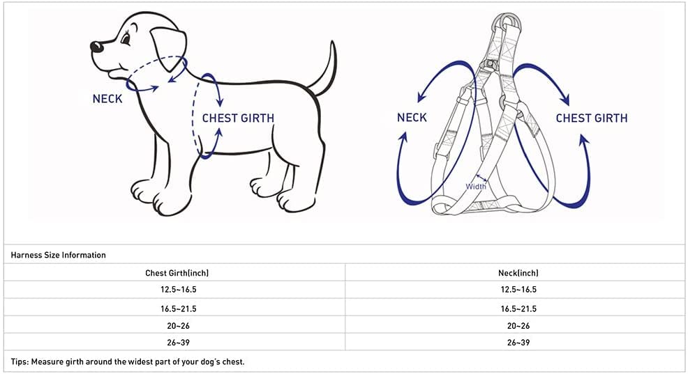 Blueberry Pet Essentials Step-in Dog Harness, Small Size | Adjustable Pastel Green Vest | Classic Solid Nylon for Boy & Girl Dogs, Chest Girth 16.5" - 21.5" - color: Pastel Green, size: Small