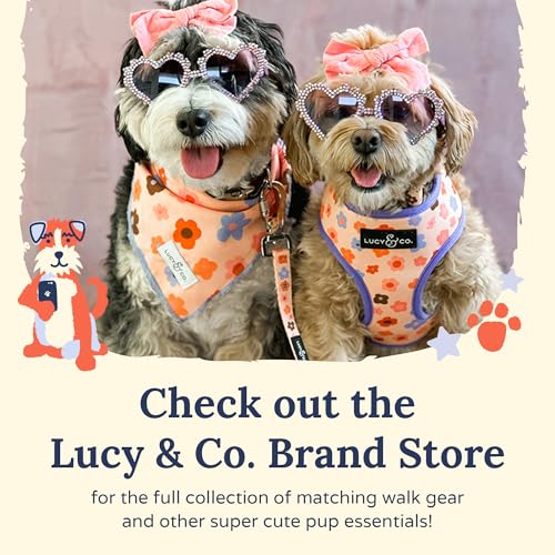 Lucy & Co. Cute No-Pull Y2K Baby Harness - Stop Pulling & Walk Easy - Harness Available in XS-XL for Small, Medium, and Large Dogs - Y2K Baby (X-Large) - color: The Y2K Baby No-Pull Harness, size: X-Large