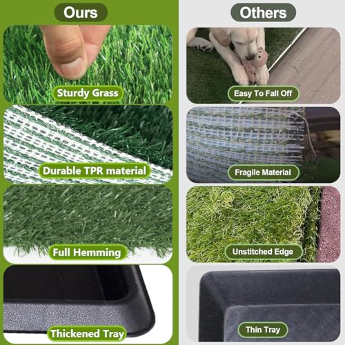 LITA Indoor Dog Litter Box for Pet Training, Potty System (20x25) - size: 20x25