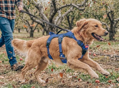 Tuff Pupper Escape Proof No Escape Dog Harness | 5 Point Adjustable Fit Harness for Dogs | Padded Dog Harnesses | Handle Dog Lift Harnesses - color: Midnight Blue, size: Large: 27-32 Inch Chest