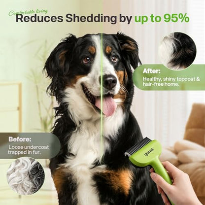 Pecute Self-Cleaning Undercoat Rake for Dogs Cats with Thick Double Coats | 1-click clean, 304SS, 18 rounded teeth, For seasonal heavy shedding & matting, Gentle on pets, Ideal for long/dense coats - color: Green