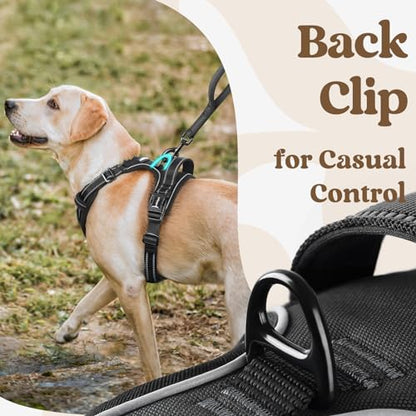rabbitgoo Dog Harness Small Sized, No Pull Pet Harness with 3 Buckles, Adjustable Soft Padded Vest with Control Handle, Walking Reflective Pet Vest for Small Dogs, Black, S - color: Black, size: Small