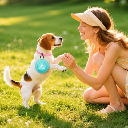 Hat Design Dog Poop Bag Holder, Waterproof Leash Mount Dog Waste Bag Dispenser, Outdoor Walking Gear for Puppy & Large Dogs, Blue - color: Blue