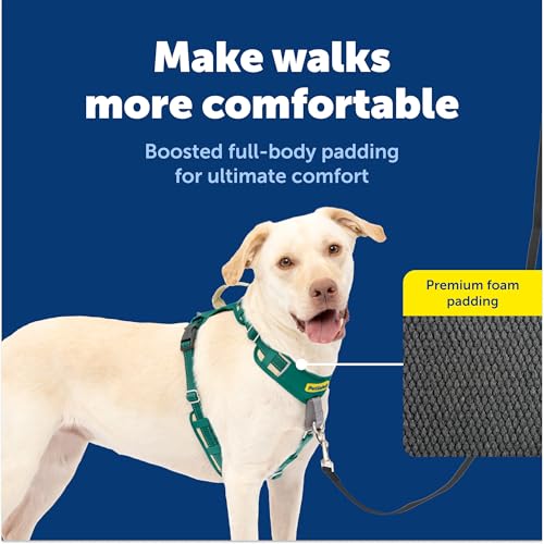 PetSafe Easy Walk Comfort No-Pull Dog Harness Full-Body Padding - Better Walks on the First Use - 5 Points of Adjustment Large, Green - color: Green, size: Large