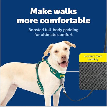 PetSafe Easy Walk Comfort No-Pull Dog Harness Full-Body Padding - Better Walks on the First Use - 5 Points of Adjustment Large, Green - color: Green, size: Large