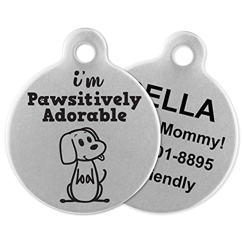 If It Barks - Engraved Pet ID Tags for Dogs - Personalized Stainless Steel Identification Tags - Custom Name Tag Attachment - Made in USA, I'm Pawsitively Adorable - color: Adorable