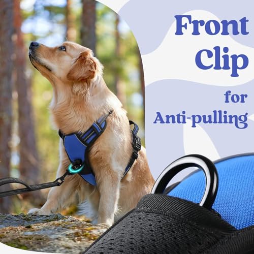 rabbitgoo Dog Harness Medium Sized, No Pull Easy On & Off with 3 Buckles Pet Harness, Adjustable Soft Walking Vest with 2 Clips and Handle, Reflective for Medium Dogs, Blue, M - color: Blue, size: Medium