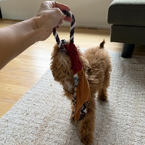 SPOT Skinneeez Tugs Mini Duck Tug Dog Toy – 14" Stuffing-Free Plush Toy with Rope Handle & Squeaker – Durable Tug Toy for Small & Medium Dogs, Moderate Chewers, Assorted Styles - size: 14"