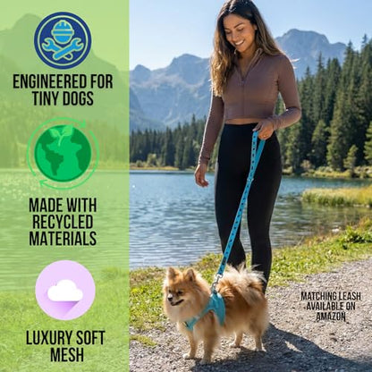 EcoBark Teacup Dog Harness- Luxury Soft Step in Dog Harness for Puppy & Tiny Dogs - Reflective Mini Body Halter Vest (XXXS Baby Blue) - color: Sky Blue, size: XXXS- 2 to 3 lbs- Chest up to 10 in (Pack of 1)