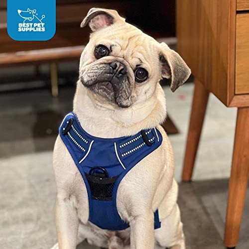 Voyager Dog Harness Dual Leash Attachment No-Pull Control Adjustable Soft but Strong Pet Harness for Medium and Large Dogs with 3M Reflective Technology, Royal Blue Lattice Nylon, XS (Chest: 13-16") - color: Royal Blue Lattice Nylon, size: XS (Chest: 13 -