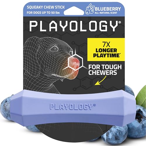 Playology Dog Toys | Squeaky Chew Stick for Dogs | Blueberry Scented Medium Fetch Toy | Squeaky Dog Chew Toy - size: Medium, style: Blueberry