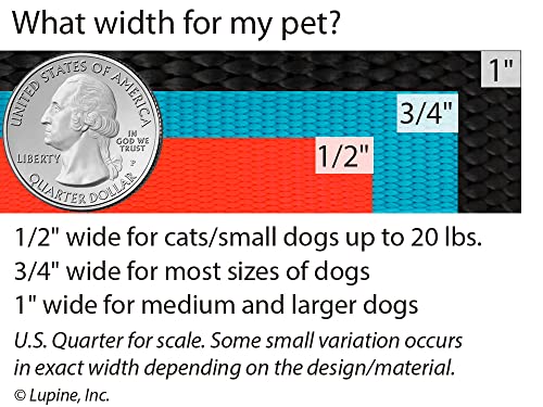 Lupine Dog Collar 3/4" Wide Aqua adjusts 13-22" Long - size: 3/4" wide; adjusts 13"-22"