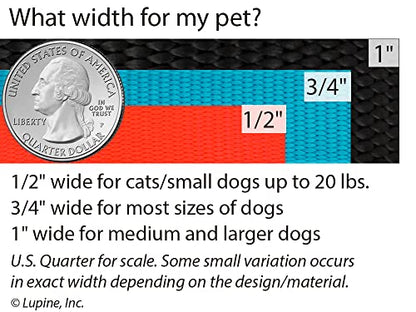 Lupine Dog Collar 3/4" Wide Aqua adjusts 13-22" Long - size: 3/4" wide; adjusts 13"-22"