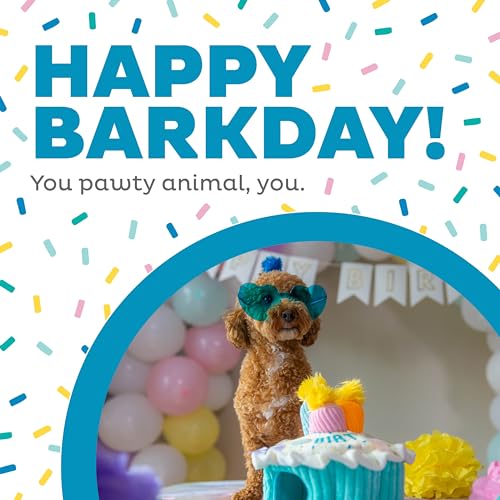 Outward Hound Hide-A-Birthday-Cake Dog Toy – Interactive 2‑in‑1 Plush Puzzle with 3 Squeaky Removable Candles - color: Birthday Cake