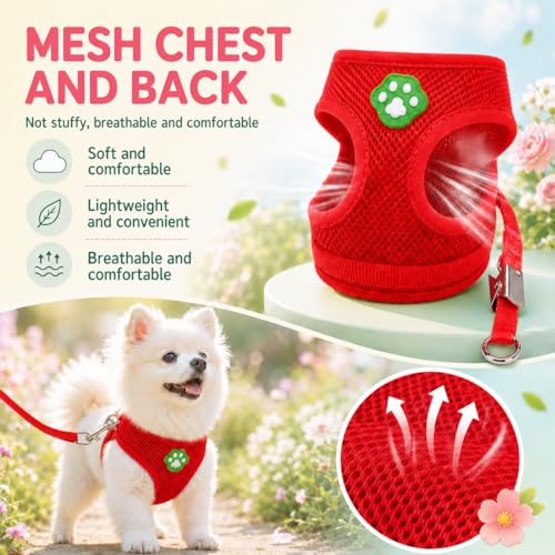 Dog Harness Small Sized and Leash Set, Step in Soft Light Puppy Vest, Breathable Mesh Pet Harness, Adjustable Pet Puppy Harness, Easy Walk Dog Harness, S: Chest 7.8-13.7" - color: Red, size: S: Chest 7.8-13.7" Leash 3.8 FT