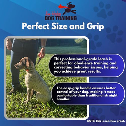Biothane Training Tab Leash for Dogs, Brass Hardware, No Pull with Easy Grip Handle, Made in The USA, Professional Grade-Black - color: Black