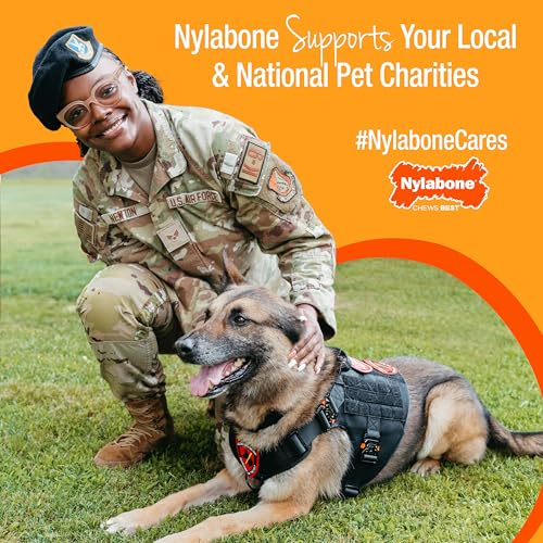Nylabone Power Chew Antler Alternative Nylon Chew Toy for Dogs, Dog Toys for Aggressive Chewers, Venison Flavor, Medium/Wolf (1 Count) - size: Medium