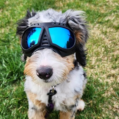 Namsan Dog Goggles Small Breed, Wide Snout & Soft Frame, Tactical Driving Sunglasses for Dogs Small to Medium Breed, Anti-UV Dog Eye Protection, Windproof Dustproof, Adjustable, Blue Lens - color: (Small)Blue Lens