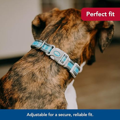 Coastal Pet - Pro - Reflective Adjustable Dog Collar, Bright Blue with Grey, 1" x 14-20"