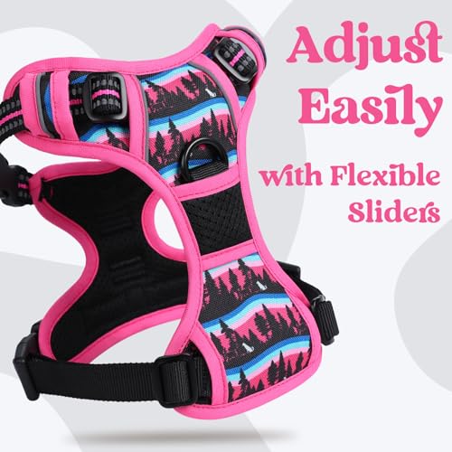rabbitgoo Dog Harness Small Sized, No Pull Easy On & Off with 3 Buckles Pet Harness, Adjustable Soft Walking Vest with 2 Clips and Handle, Reflective for Small Dogs, Mountain Rose, S - color: Mountain Rose, size: Small