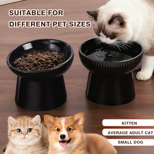 Elevated Cat Food Bowl, Ceramic Raised and Tilted Water Bowl, Whisker Fatigue Cat Bowls for Indoor Cats, Anti Vomiting and Protect Spines Pet Feeding Dishes for Kittens Small Dog, Heavy Non-Slip Base - color: Black