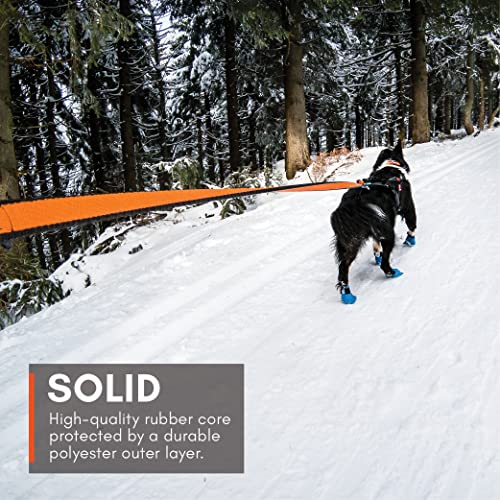 Non-stop Dogwear Bungee Dog Leash with Shock Absorption (2.0 m) - Elastic Dog Leash for Sports Running, Biking & Hiking - Hands Free Leash with Twistlock Safety Carabiner for Adventures, Black/Orange - size: 2.0 m / 23 mm