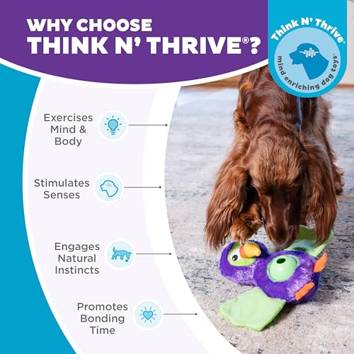 Outward Hound by Nina Ottosson Hide-Ablez Plush Dog Puzzle with Treat Ball, Toucan, Multicolored - color: Hide-Ablez Toucan