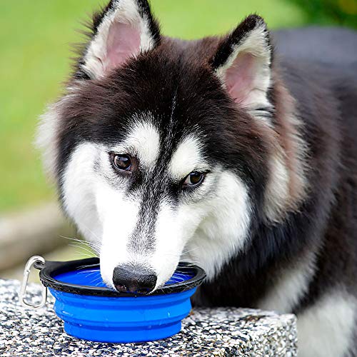 Kytely Large Collapsible Dog Bowls 2 Pack, 34oz Foldable Dog Travel Bowl, Portable Pet Water Food Bowl with Clasp, Pet Cat Feeding Cup Dish for Traveling, Walking, Hiking (Blue+Green) - color: Green & Blue