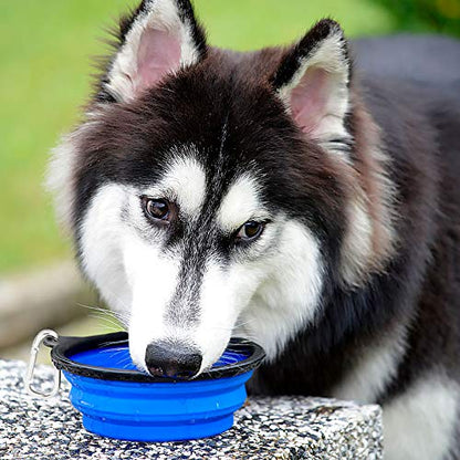 Kytely Large Collapsible Dog Bowls 2 Pack, 34oz Foldable Dog Travel Bowl, Portable Pet Water Food Bowl with Clasp, Pet Cat Feeding Cup Dish for Traveling, Walking, Hiking (Blue+Green) - color: Green & Blue