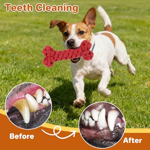 3 Pack Cotton Rope Dog Toy Set, Indestructible Chew Toys for Aggressive Chewers, Puppy Teething Toys with Bone, Human & Chinese Knot Designs for Boredom Relief & Tug of War， Red - style: Red suit（3 pack）
